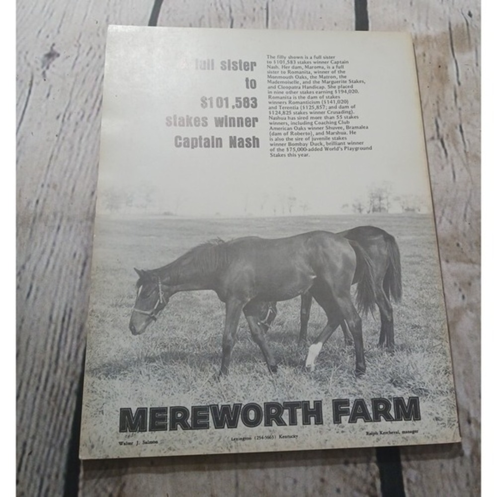 The Blood-Horse Magazine‎ November 4 1974 Thoroughbred Racing Breeding Vintage - Picture 8 of 8